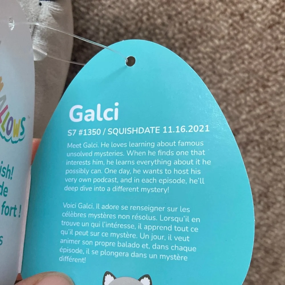 Squishmallows Galci the raccoon